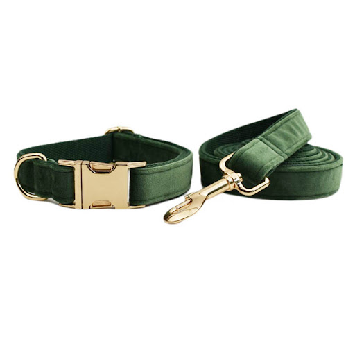 Title 4, Velvet Pet Collar with Traction Rope provides a...