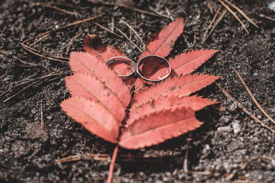 Photographe de mariage Nikita Kver (nikitakver). Photo du 15 septembre 2017