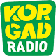 Download KORGAD Radio For PC Windows and Mac 1.0