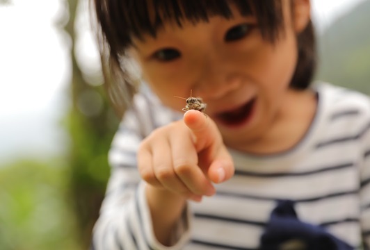 biodiversity credits market