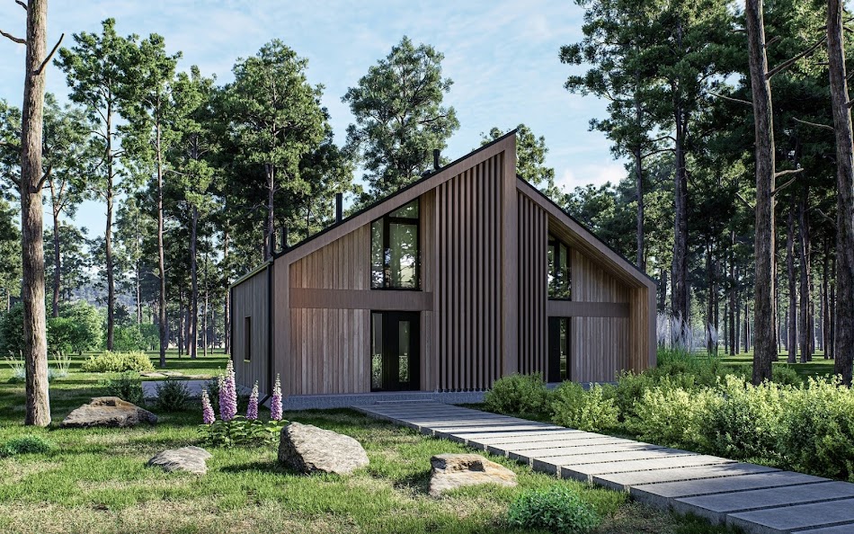 Wizualizacja 2 domu D434A - wersja drewniana