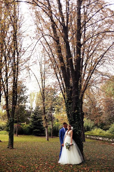 結婚式の写真家Katerina Kravec (katarinakravets)。2023 10月8日の写真