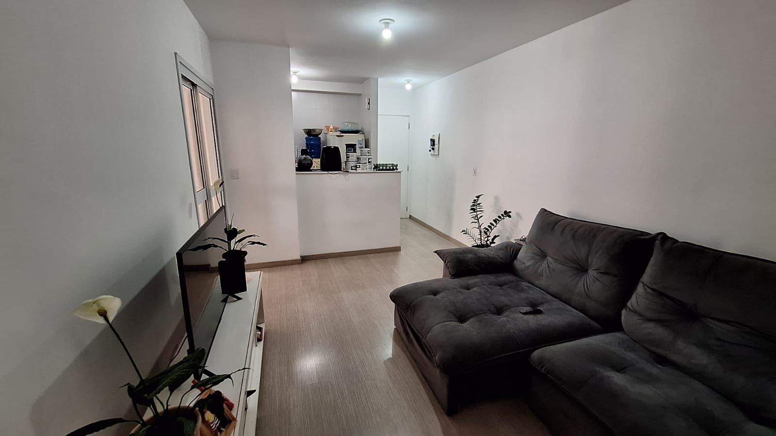 Apartamentos à venda Vila Betânia