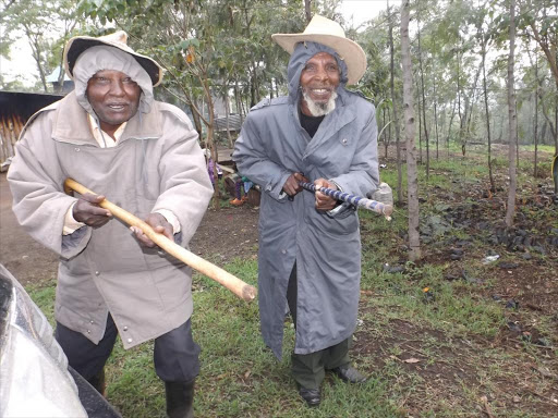 Mau mau war veterans, John Kiboko and Kiambati Muronyo,show how they used to hold guns while fighting for independence during the struggle for independence.