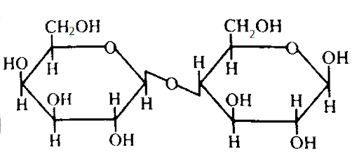 Carbohydrates