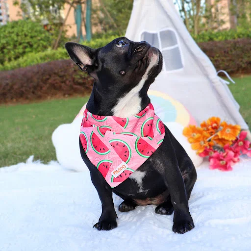 Cute Dog Triangle Bandanas Watermelon Print Cotton Pet Triangle Scarves Pet Bibs Soft Puppy Kerchief Bandana Accessories