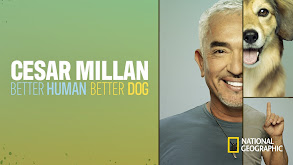 Cesar Millan: Better Human Better Dog thumbnail