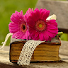 Flower Wallpapers icon