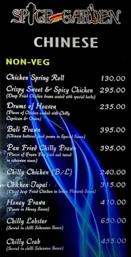 Spice Garden menu 3