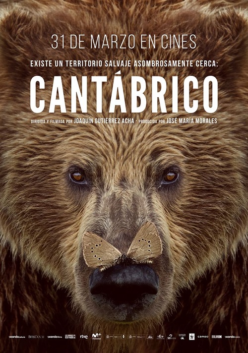 Cantábrico, los dominios del oso pardo