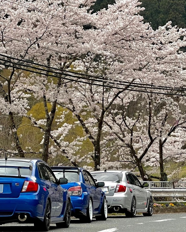 の投稿画像19枚目