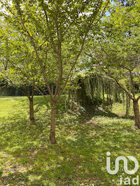 appartement à Carrieres-sur-seine (78)