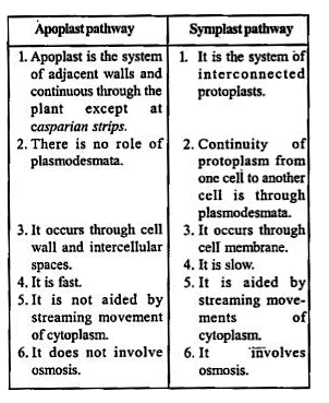 Solution Image