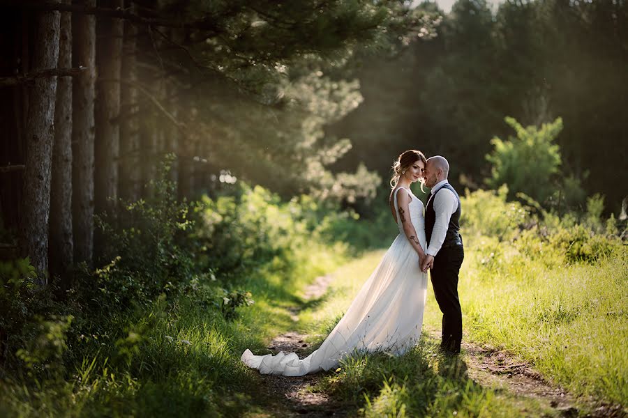 Hochzeitsfotograf Svetlana Alinova (fotobox). Foto vom 13. Juli 2018