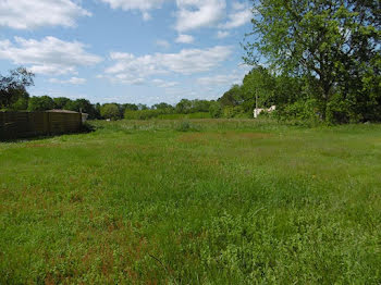 terrain à Langon (33)