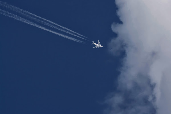 Scie di alerre