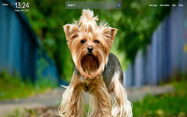 Yorkie Wallpapers NewTab Theme