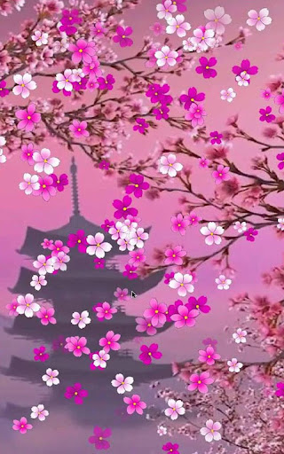 HD Sakura Live Wallpaper