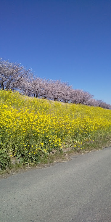 の投稿画像2枚目