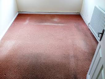 Carpet Cleaning Restoration's Photos album cover