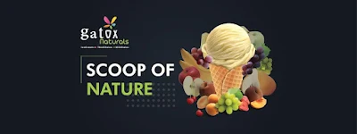 Gatox Natural Ice Cream
