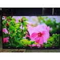 [Tivi Led Siêu Mỏng 42" Lg Full Hd + Kèm Bát Treo Tường Thanh Lý]