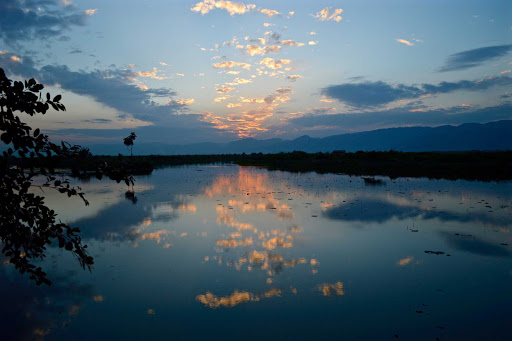 lake - Farther east, we spent four days on the banks of Inle Lake, a fascinating area where each day the four of us would set out with a guide in a narrow, small, flat bottomed boat.