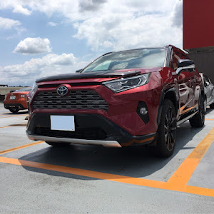 RAV4