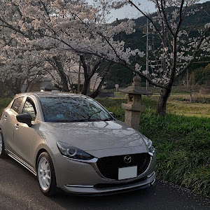 MAZDA2 DJLFS