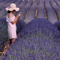 very peri al profumo di lavanda di 