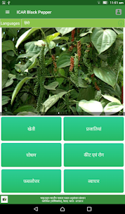   ICAR IISR Black pepper- screenshot thumbnail   