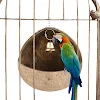 miniatures image - 2