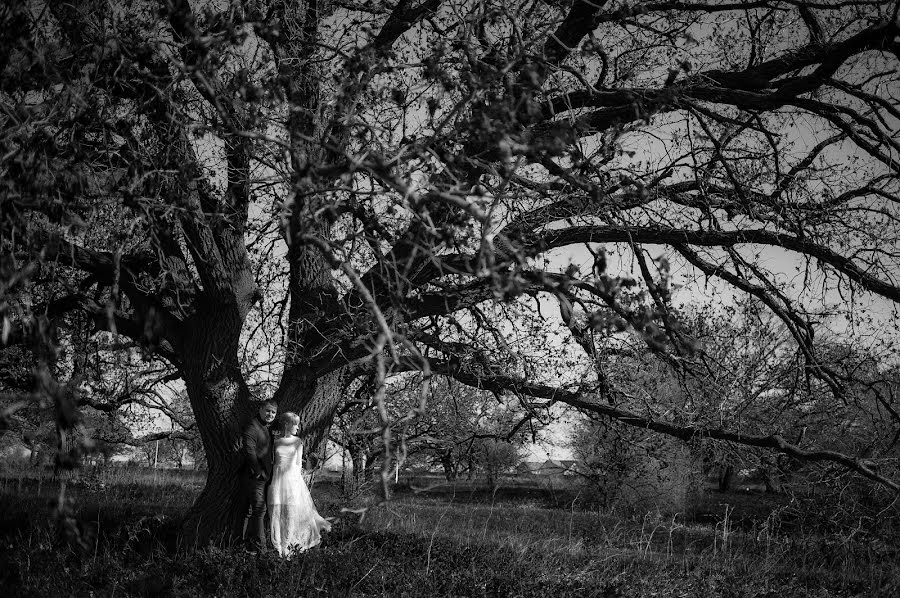 Vestuvių fotografas Mariya Shalaeva (mashalaeva). Nuotrauka 2014 gegužės 30