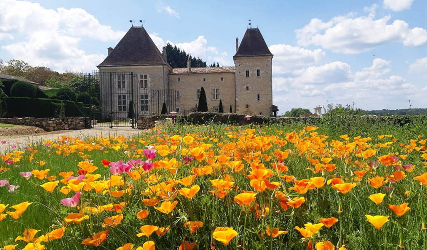 Castle Casteljaloux