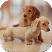Tile Puzzle - Baby Animals