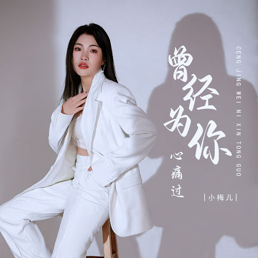曾经为你心痛过 (Dj彭锐版伴奏) - YouTube Music