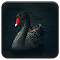 Item logo image for Black Swan