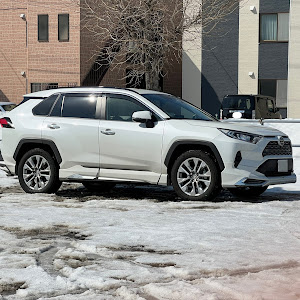 RAV4 MXAA54