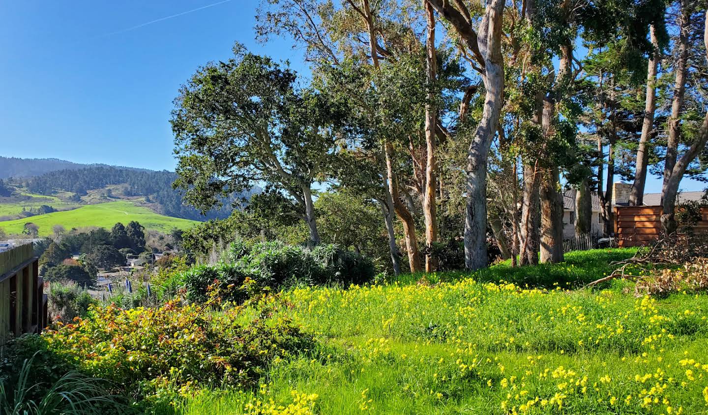 Land Carmel-by-the-Sea