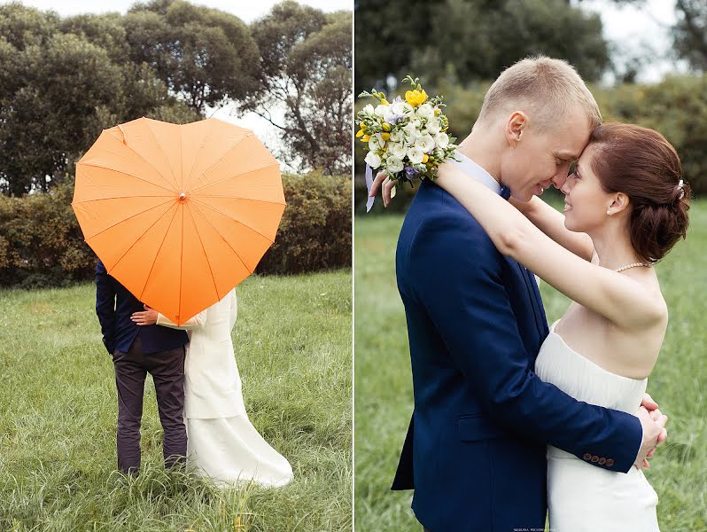 Wedding photographer Svetlana Mekhonoshina (mechonoschina). Photo of 25 November 2013