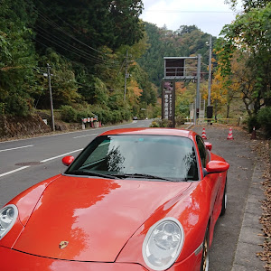 996カレラ