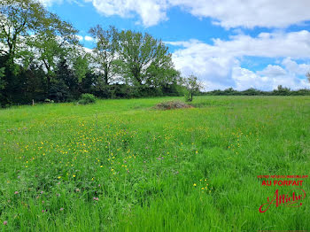 terrain à Bouloc (31)