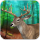 Jungle Deer Hunting Games 2020 : Deer Season 1