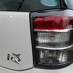 iQ NGJ10