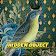 Hidden Object  icon