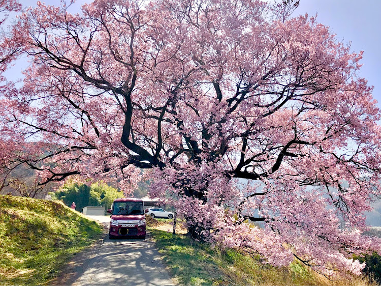 の投稿画像17枚目