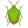 BIG STING STING