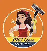 PRO Clean Logo