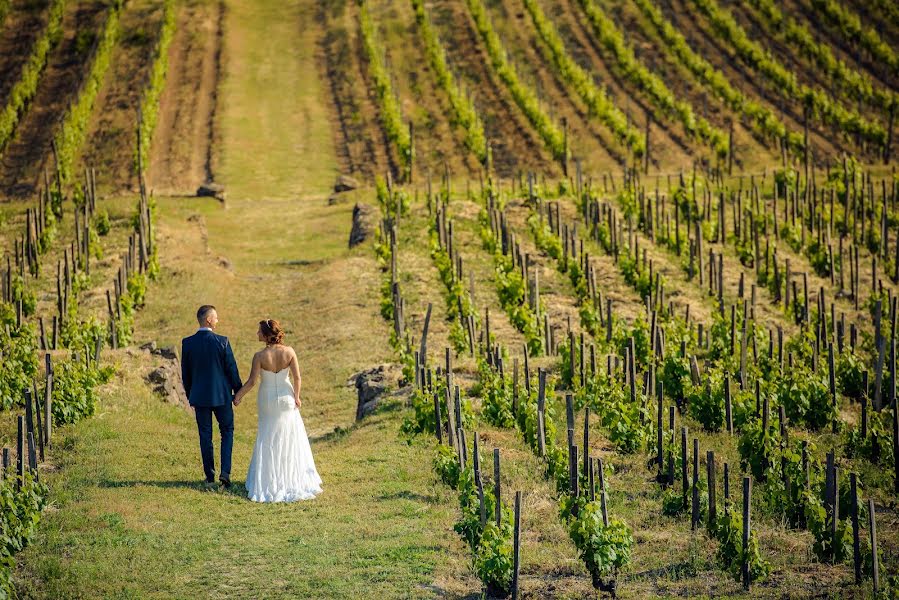 Hochzeitsfotograf Bence Pányoki (panyokibence). Foto vom 22. Juni 2016