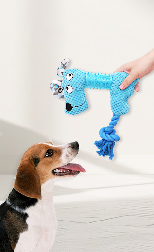 Title 5, Plush dog squeaky toys for small and large dogs...